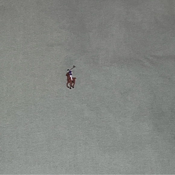 Ralph Lauren Classic Mint Green Casual Men’s Button Down Shirt 17 34/36 - Picture 3 of 6